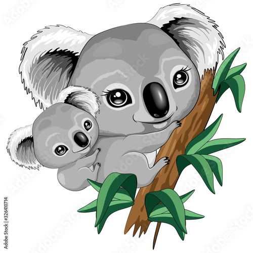 Koala Baby and Mother on Eucalypt Branch Cute Characters Vector Illustration