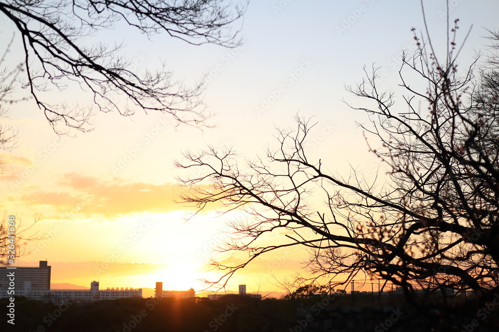Fototapeta premium 大阪城公園 大阪 日本