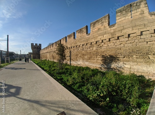 Avignon rempart forteresse, jardin pont d'avignon france, vaucluse