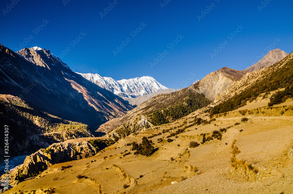 Trekking route from Manang village to Ledar in autumn sunny day. Annapurna circuit trek, Nepal.