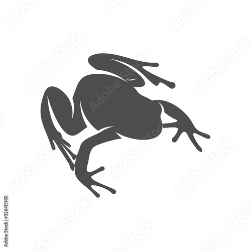Frog logo vector design template  Silhouette Frog logo animal  Illustration