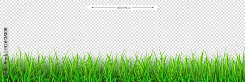 Green grass seamless border. Easter design isolated on transparent background