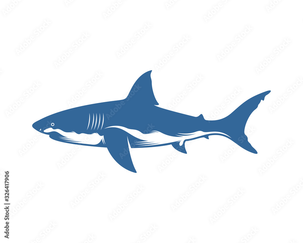 Shark logo vector design template, Silhouette Shark logo, Illustration