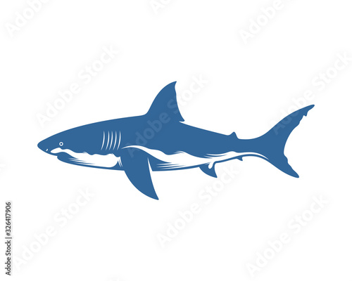 Shark logo vector design template  Silhouette Shark logo  Illustration