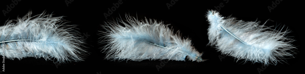 Obraz premium Three white feathers isolated on black background.