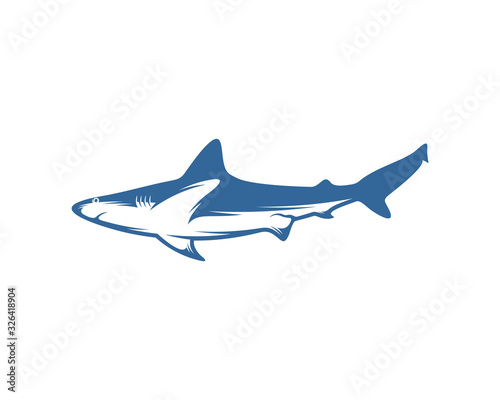 Shark logo vector design template  Silhouette Shark logo  Illustration