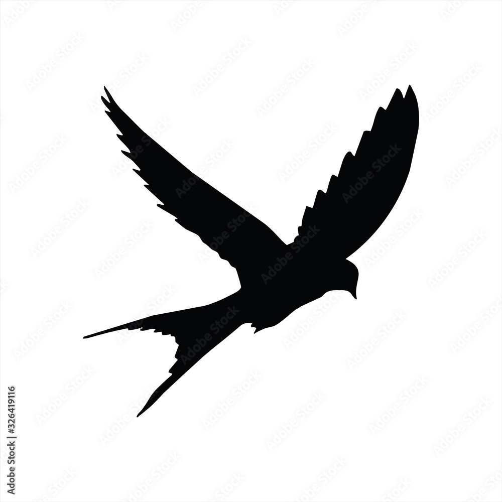 Bird vector, bird icon vector, vector illustration. Bird vector, bird icon vector, vector illustration.