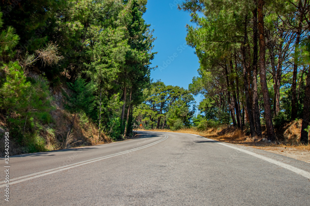 Lonely road with curve in a forest Lonely road with curve in a forest