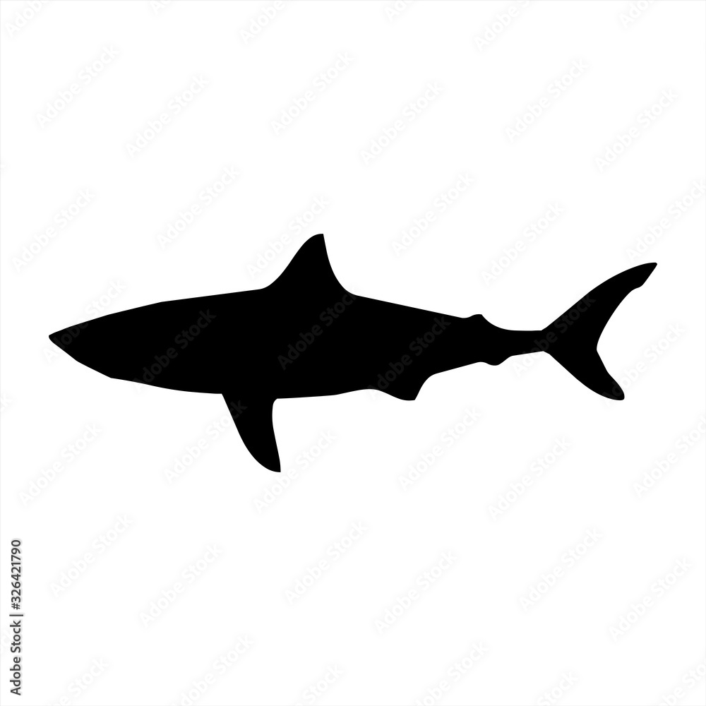 vector shark silhouette, shark vector icon, vector illustration vector shark silhouette, shark vector icon, vector illustration