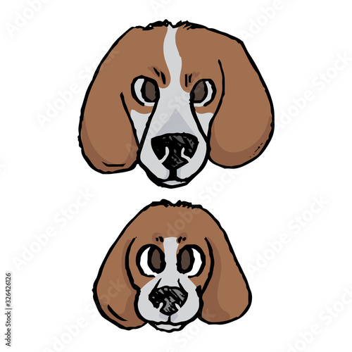 Cute cartoon foxhound puppy and adult hunting dog face vector clipart. Pedigree kennel baby doggie breed for dog lovers. Purebred doggy for pet parlor illustration mascot. Isolated canine hound. EPS 