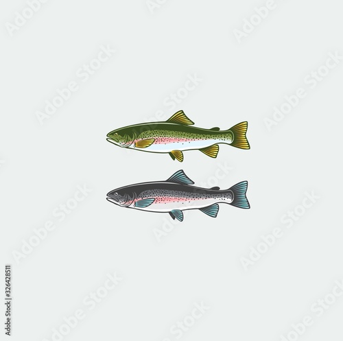 Marieties of salmon
