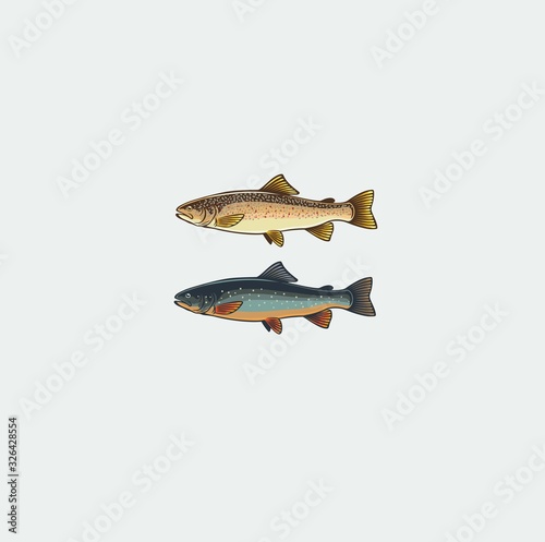 Marieties of salmon