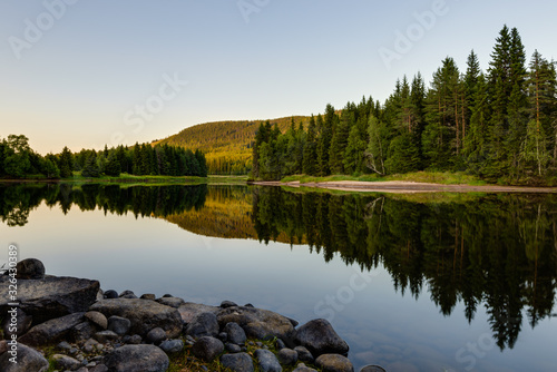 Reflection of green trees on river. Västerdalälven, Dalarna, Sweden. photo