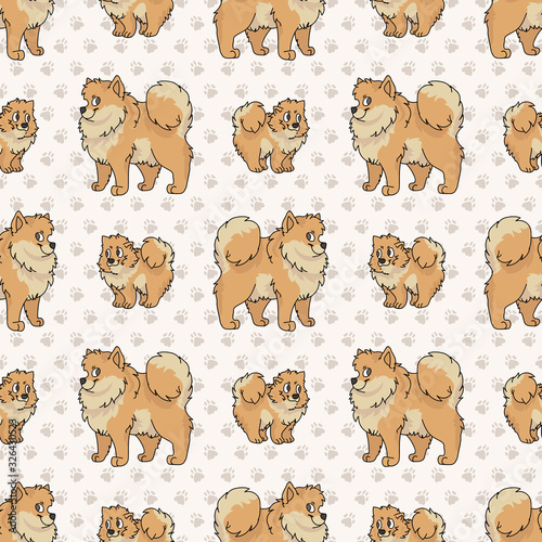 Hand drawn cute pomeranian and puppy breed dog seamless vector pattern. Purebred pedigree domestic dog on paw background. Dog lover spitz pet all over print. Kennel pooch. EPS 10. 