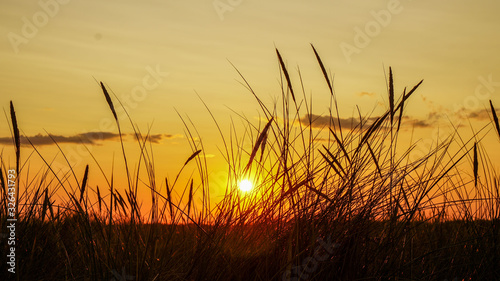 Photos Skagen