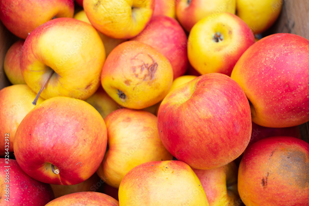 A Background of Jonagold Apples A Background of Jonagold Apples