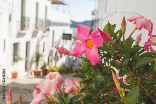 charming streets in Frigiliana, Andalusia, Spain photo