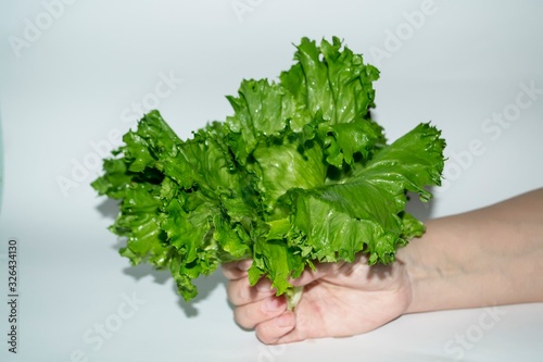 Green plant salad in a hand on a gray background