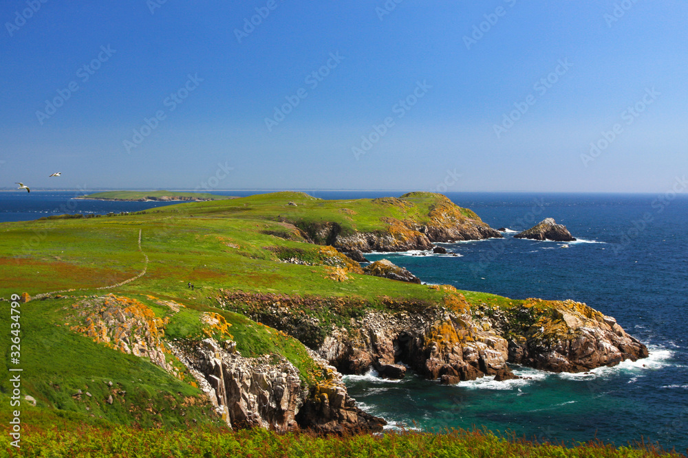 Coastline in Ireland with vibrant green grass, steep lichen covered rocky cliffs meeting the blue green North Atlantic ocean. Saltee Islands, Wexford, Ireland. Blue sky and sea on sunny summer day