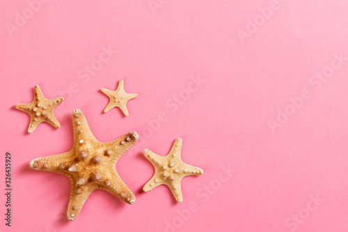 lot of seashells and many starfish on pink background
