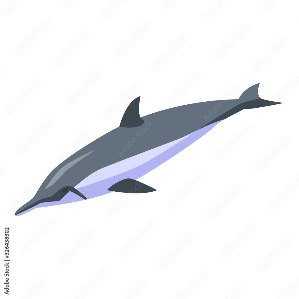 Obraz premium Aquatic dolphin icon. Isometric of aquatic dolphin vector icon for web design isolated on white background