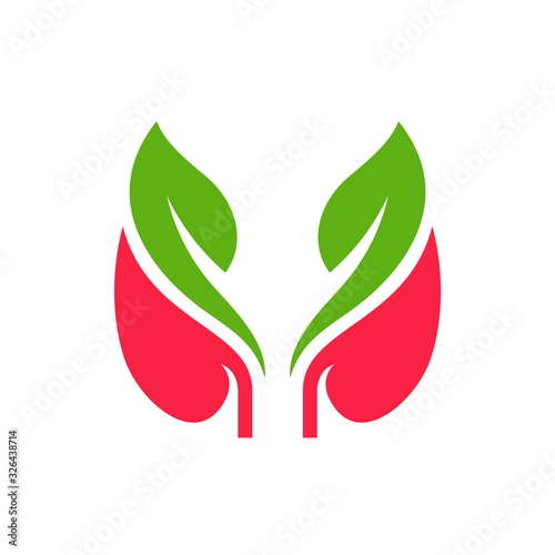 Kidney with Leaf Logo Design Inspiration Template vector