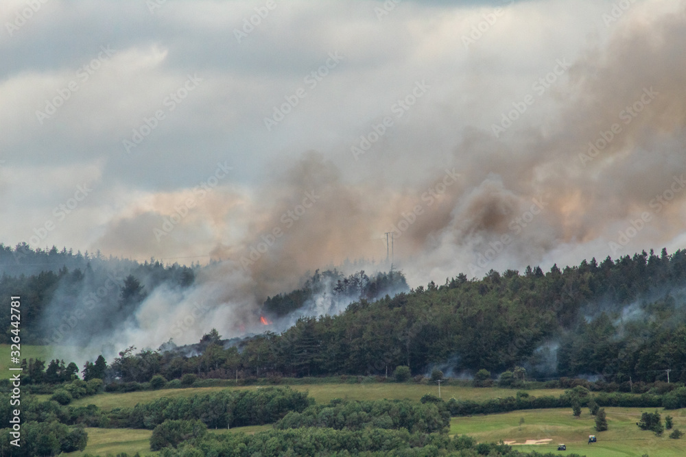 A Forest Fire Above a Golf Course in County Wicklow