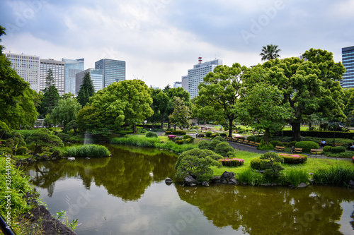 Fototapeta Naklejka Na Ścianę i Meble -  park in the city
