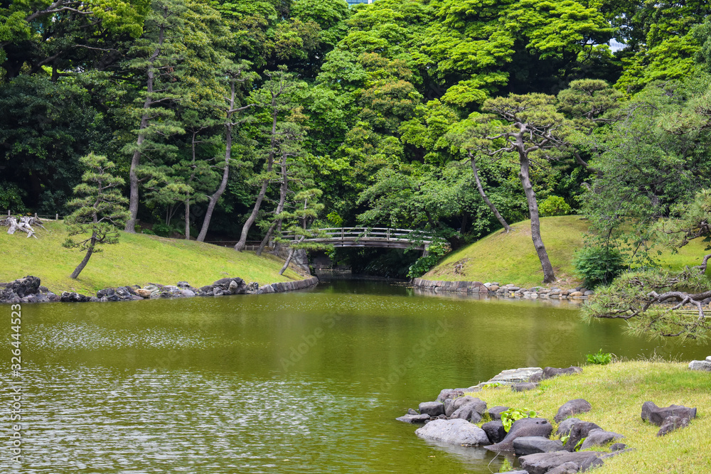 Naklejka premium japanese garden