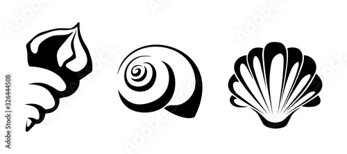 Vector black silhouettes of sea shells isolated on a white background.