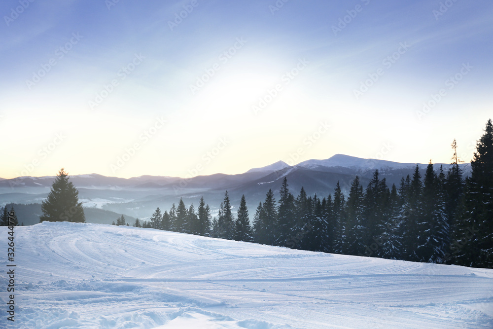 Picturesque view of snowy hill and conifer forest. Winter beauty