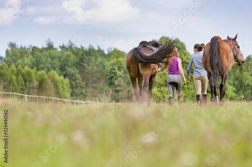 Rear view of women walking while talking with their horses in ranch