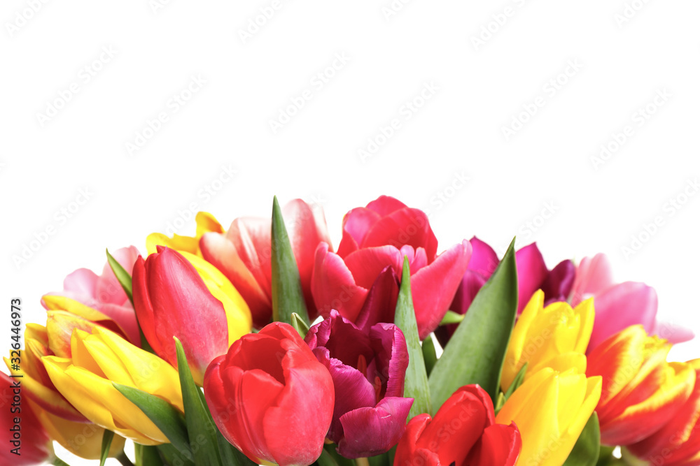 Beautiful bright spring tulips on white background Beautiful bright spring tulips on white background