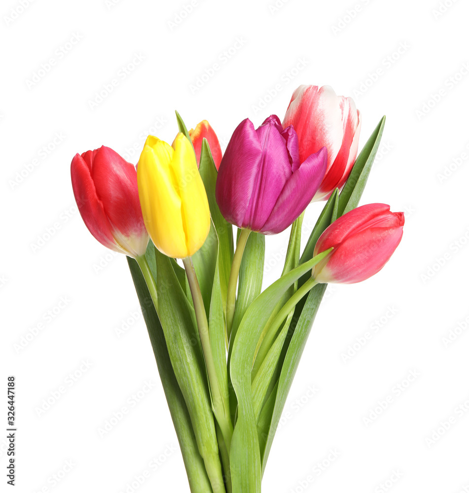 Beautiful bright spring tulips on white background Beautiful bright spring tulips on white background