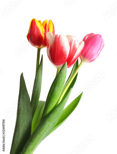 Fototapeta Naklejka Na Ścianę i Meble -  Beautiful bright spring tulips on white background