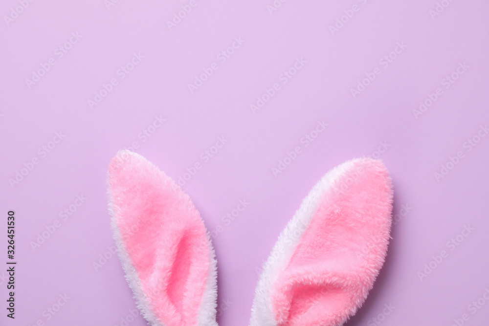 Easter bunny ears on violet background, top view. Space for text Easter bunny ears on violet background, top view. Space for text