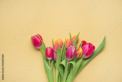 Fototapeta Naklejka Na Ścianę i Meble -  bright fresh bouquet of  pink and yellow tulips on a yellow  background