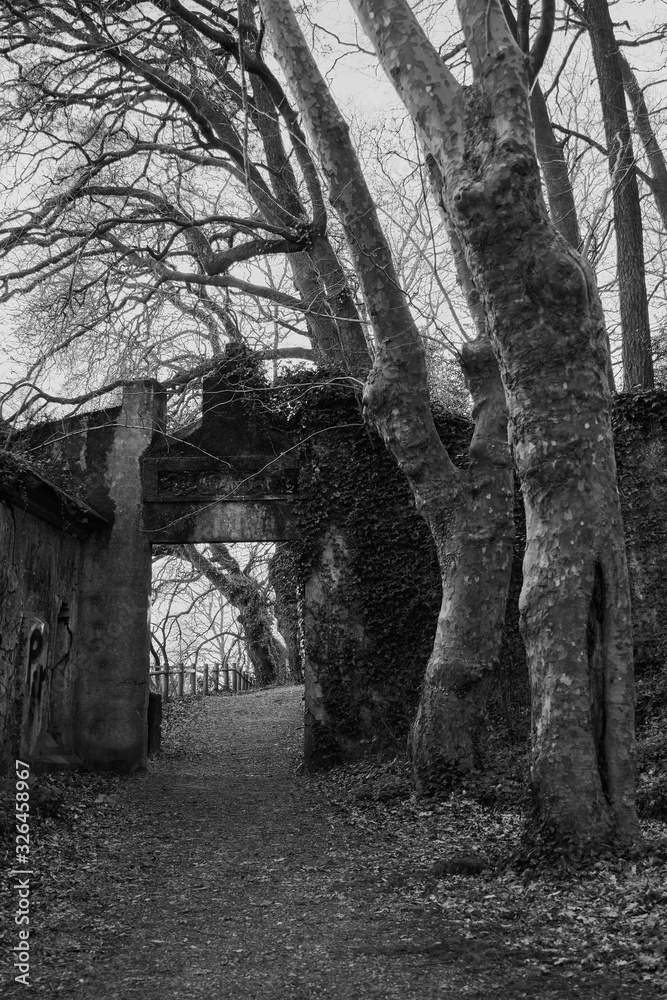 Puerta para entrar en un camino en el bosque. Puerta para entrar en un camino en el bosque.