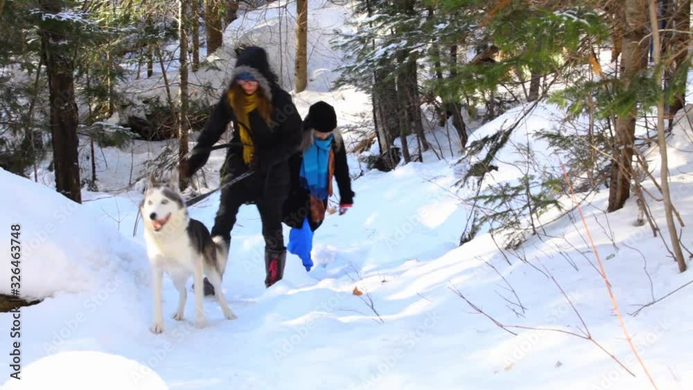 Old woman and younger girl walking in the forest with alaskan husky dog, having a hard time climbing the snowy path in wintertime - fixed angle Old woman and younger girl walking in the forest with alaskan husky dog, having a hard time climbing the snowy path in wintertime - fixed angle