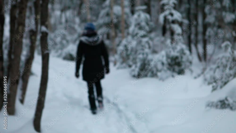 Woman see from behind, walking in the forest with snow falling behind her as she passes a tree, in the wintertime Woman see from behind, walking in the forest with snow falling behind her as she passes a tree, in the wintertime