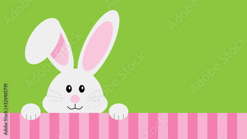 Easter Bunny Illustration with Room for Copy