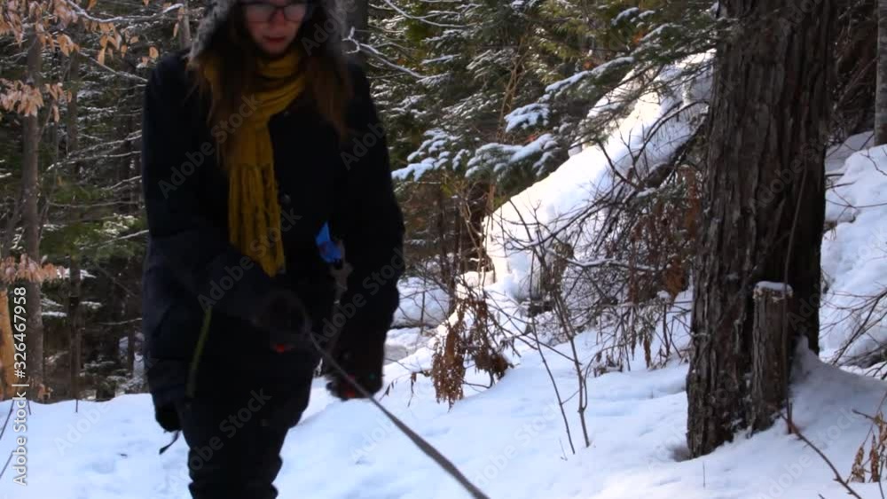 Old woman and younger girl walking in the forest with alaskan husky dog in wintertime - traveling up
