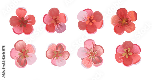 Flowers of fruit orchard trees: cherries, plums, apricots, peaches, pears, apple trees. Set of 6 flowers. Red and pink. Isolated vector on a white background.