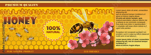 Label design for honey jars. Sticker on the side of the container. The concept of appearance. Beautiful packaging for bee honey. Paper stickers or print on plastic. The idea of product design. Vector.