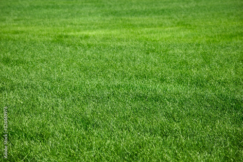Green grass texture background, soccer field, meadow