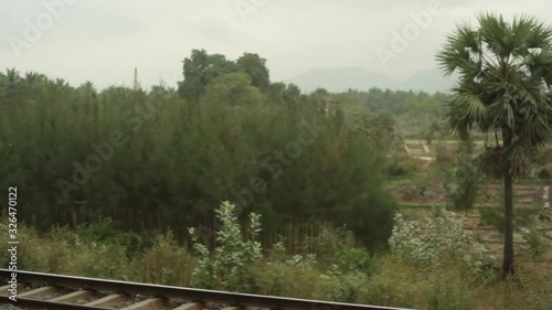 Coconut trees from train, India, long shot