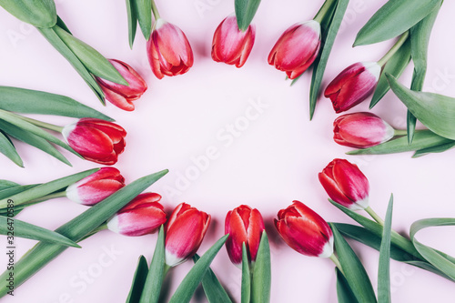 Red tulips on a pink background make room for text