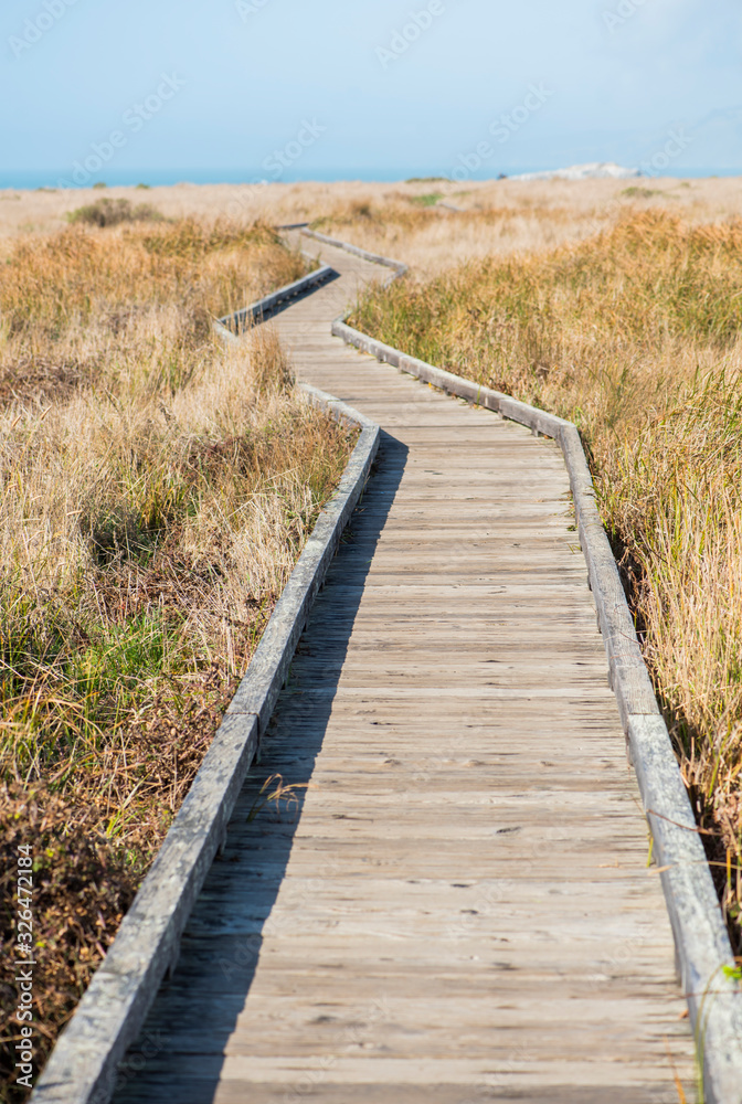 wooden path boardwalk in grassy field near the ocean, sunny day blue sky seaside, wood plank footpath, inspirational, peaceful, rest
