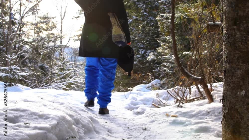 slowly passing through a beautiful nature scenery with sun flares and appreciating the view - fixed angle