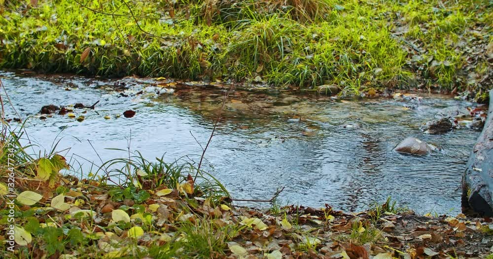 small stream colored by the reflection of the sky flows through the golden leaves of autumn small stream colored by the reflection of the sky flows through the golden leaves of autumn